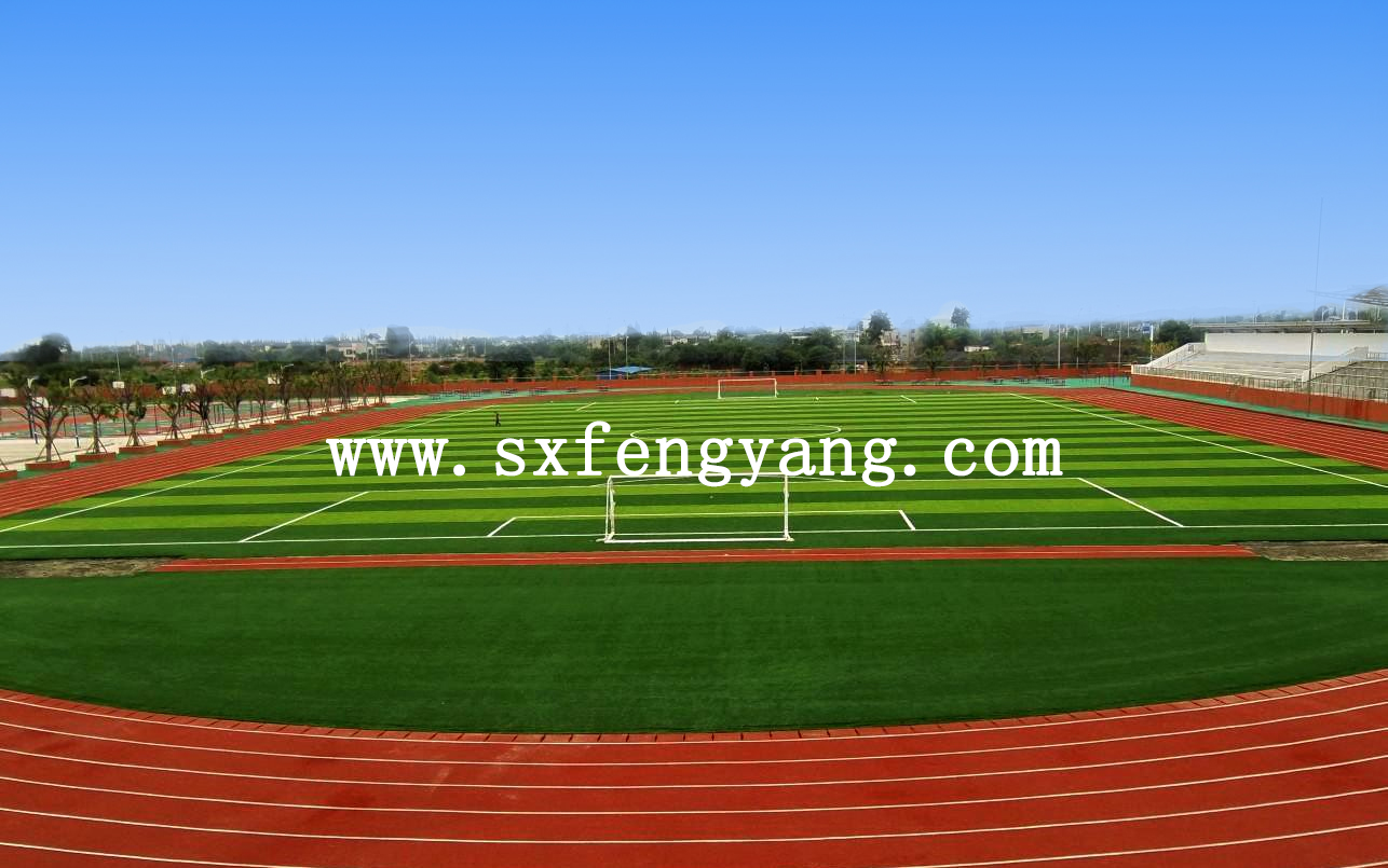 �����\(y��n)�ӈ�����